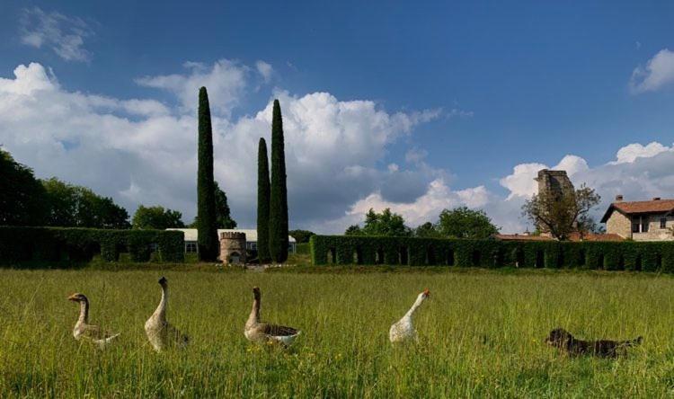Castello Di Cernusco Lombardone Acomodação com café da manhã Exterior foto